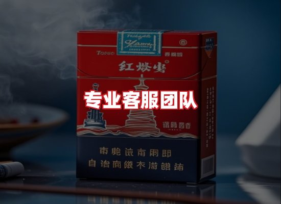 专业团队